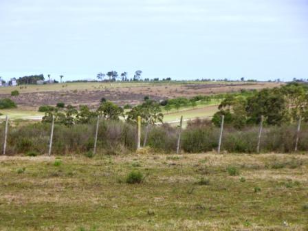 Built your one chacra on these 10 hectares of picturesque Uruguayan countryside. Proximity to Ruta 9