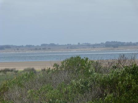 Great land plots near ocean with views on Laguna Flamingos