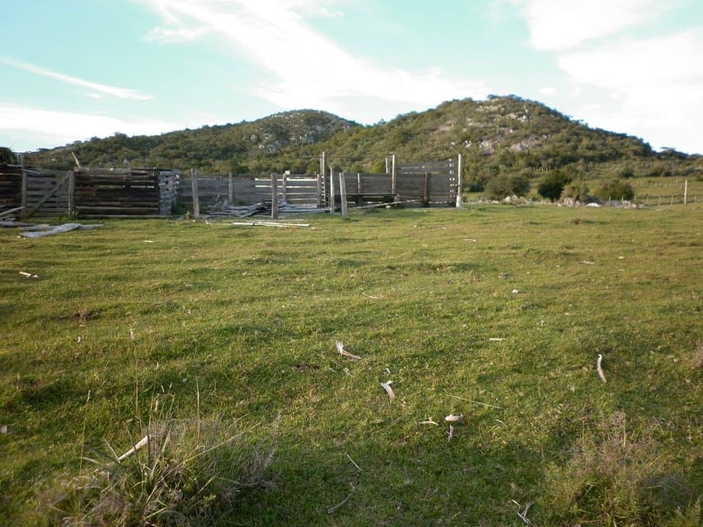 Idylic 36 acres chacra for livestock business
